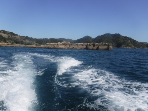 d0174683_20224352.jpeg