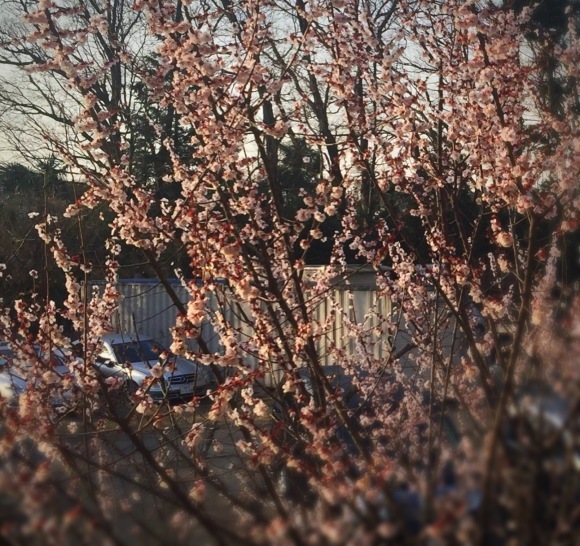 c0004193_00524670.jpeg