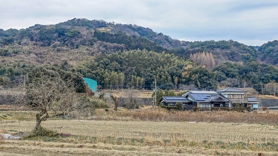 e0176993_07484167.jpg