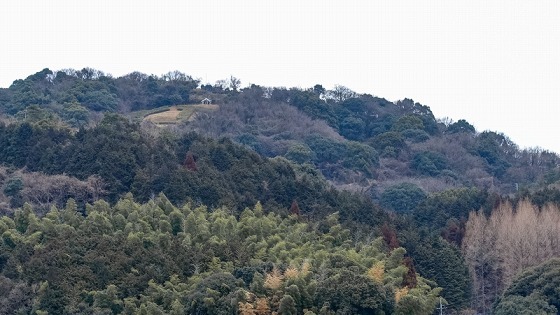 e0176993_07484211.jpg