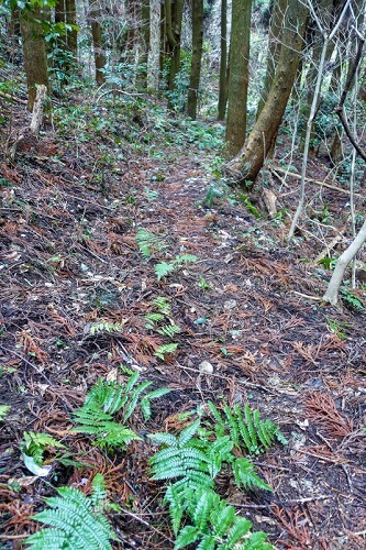 e0176993_07484234.jpg