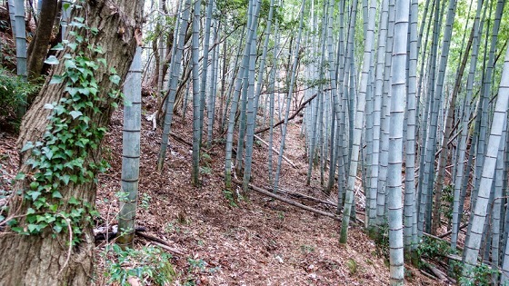 e0176993_07484257.jpg