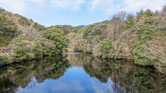 e0176993_07484361.jpg