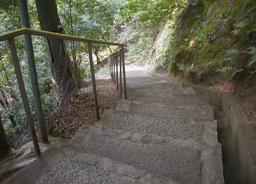 ●神社の造形―向日神社、その4_d0053294_23351512.jpg