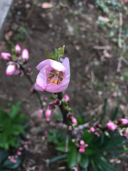 b0349795_08582352.jpg