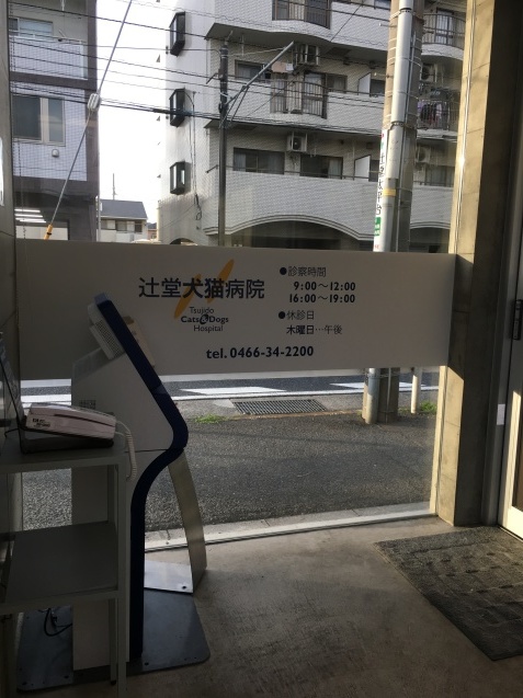 お彼岸_b0275998_14451369.jpeg