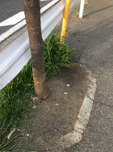 b0275998_14452880.jpeg