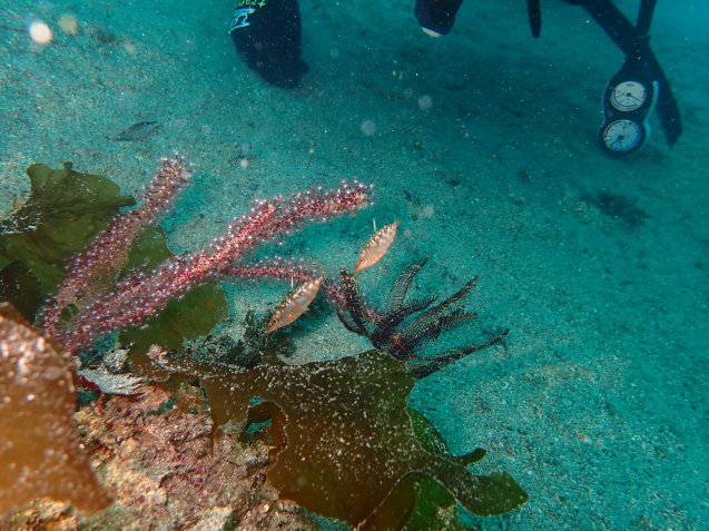 e0115199_14470775.jpg