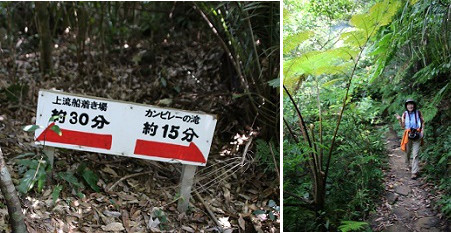 八重山諸島①西表島ジャングルトレッキング_a0158702_16155205.jpg