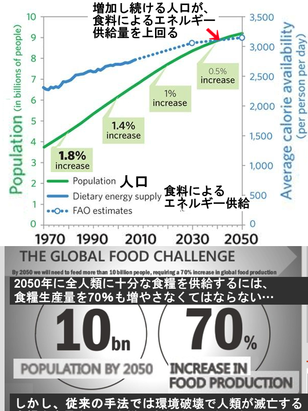 肉なしミートボール、鶏肉なしチキン揚げ、海老なしエビチリ…の『代替プロテイン』時代がやってくる?!_b0007805_10232489.jpg