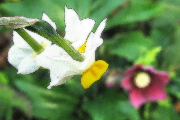 c0345705_12012189.jpg