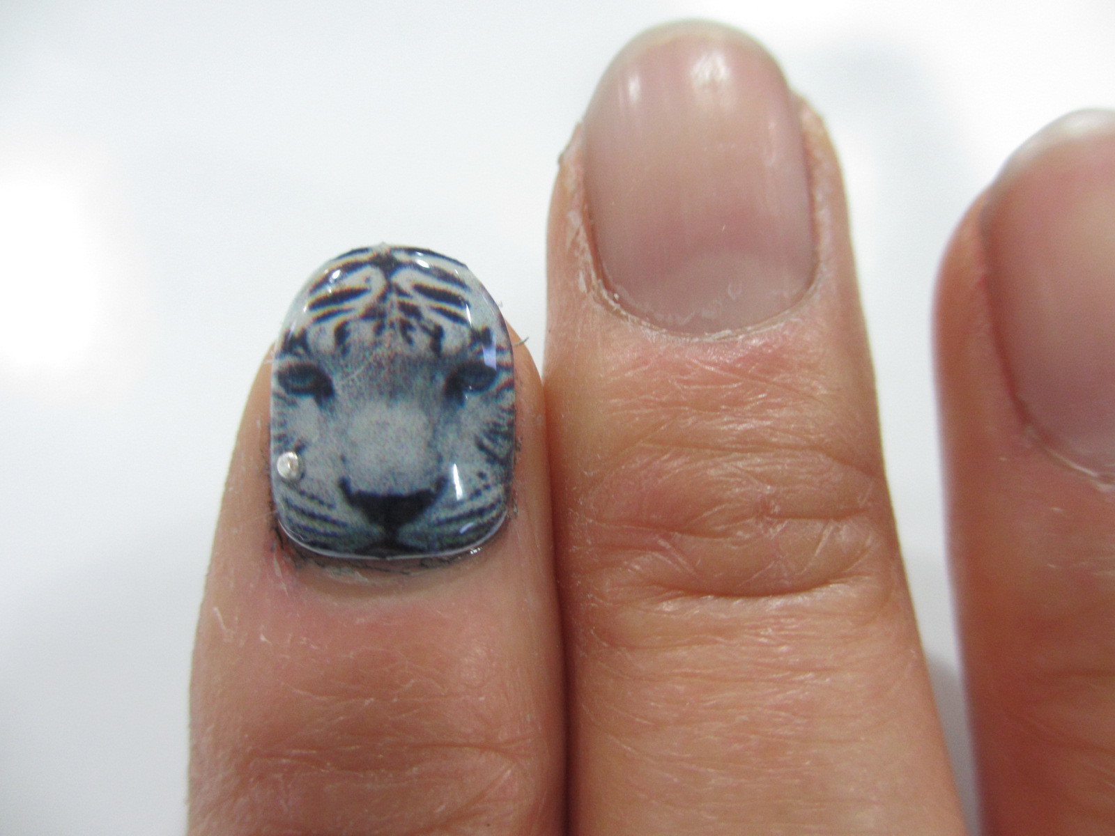 3dプリンター 大津の熱い夜