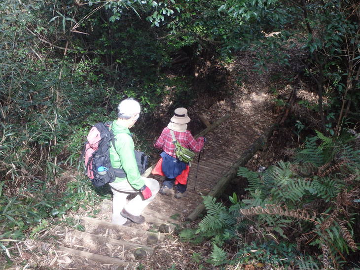 宇土半島の山々(大岳山・雄岳・白山）と雁回山_f0193521_10373022.jpg