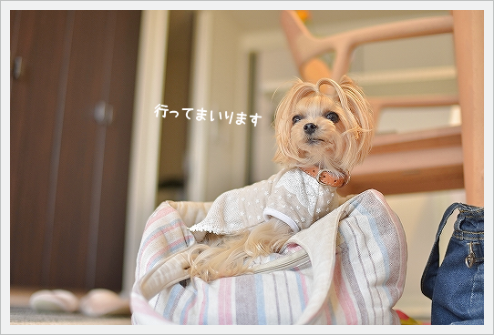 d0179828_09192441.png