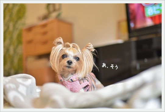 d0179828_09192786.png