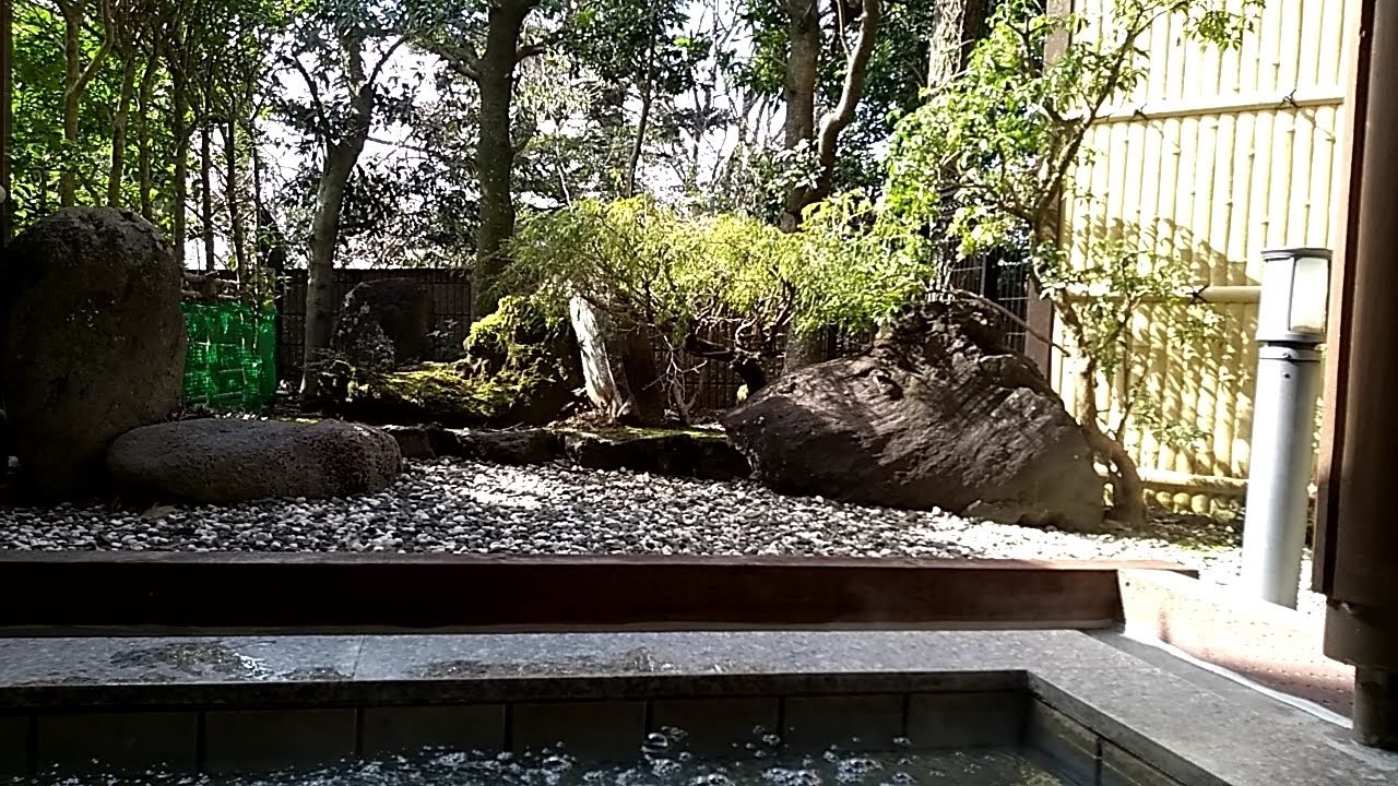 伊豆 豆柴こてつとかざみどりさんに宿泊してきました うろうろ もぐもぐ