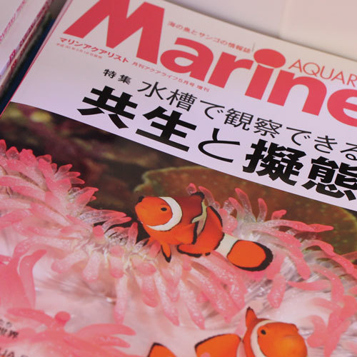 日が伸びたよね。。。_d0221436_20495114.jpg