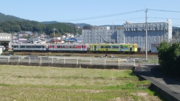 見頃をむかえた佐々川堤防の河津桜_a0206345_21442545.jpg