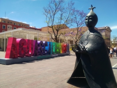 fotografia Mari Sano