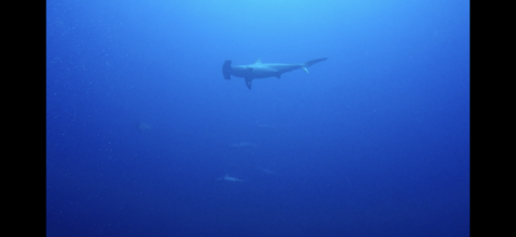 3月20日 ザーザーからのゴーゴー_d0113459_20140988.jpg