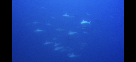 3月20日 ザーザーからのゴーゴー_d0113459_20150321.jpg