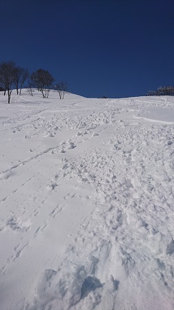a0208560_12522497.jpg