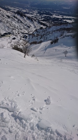 a0208560_12522692.jpg