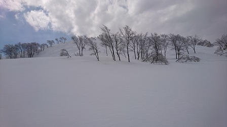 a0208560_12545988.jpg