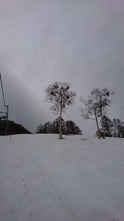 a0208560_14585070.jpg