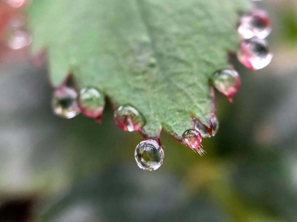 c0123363_15223682.jpg