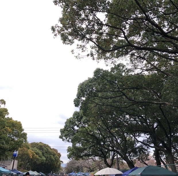 c0360867_15293088.jpeg