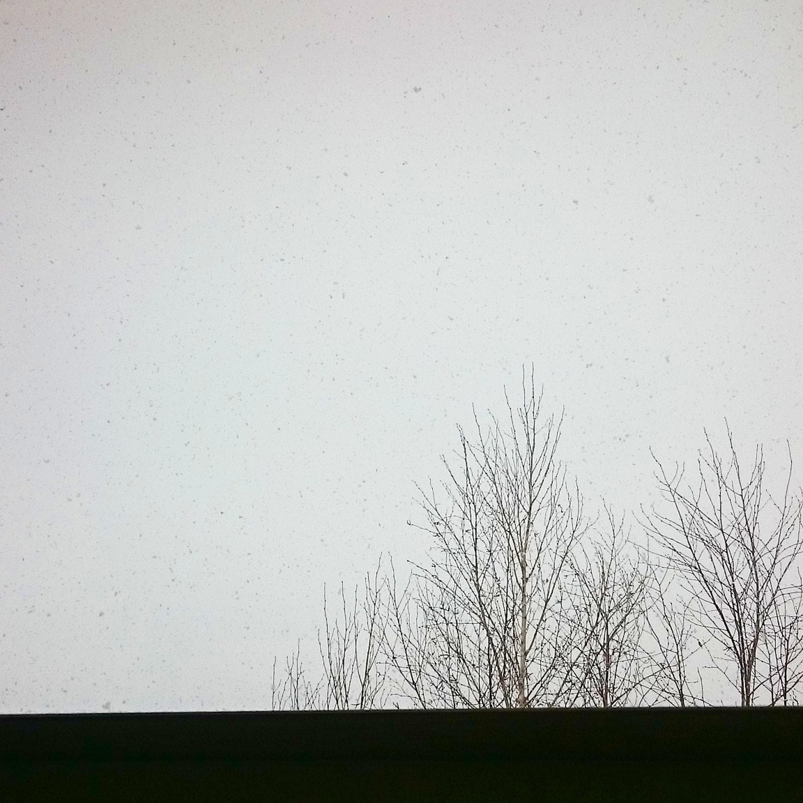 c0311170_19150873.jpg