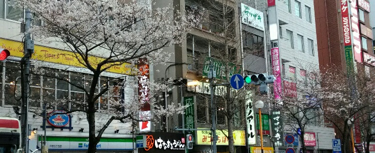 f0007580_234882.jpg