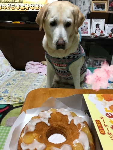 f0315081_22275582.jpeg