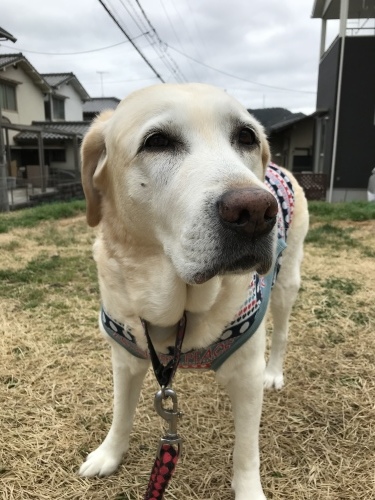 f0315081_22304037.jpeg
