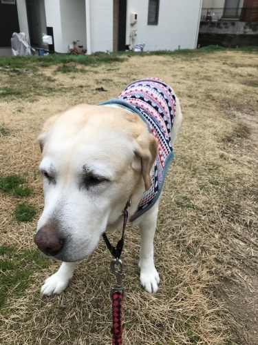 f0315081_22310487.jpeg