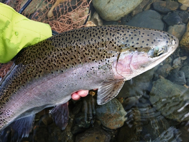 c0157482_13101179.jpg