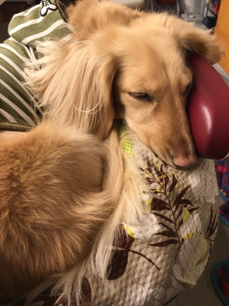 f0151886_15271123.jpeg