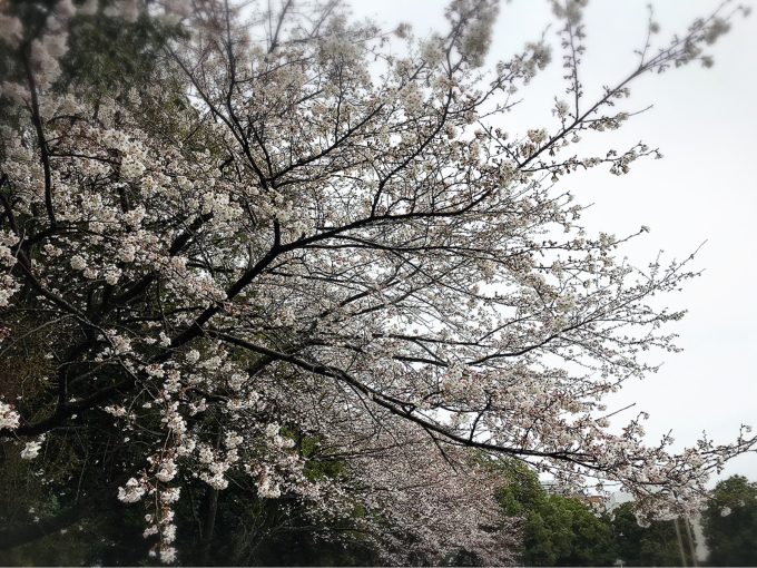 年度末お疲れ様です(^。^)_d0132688_15591344.jpg