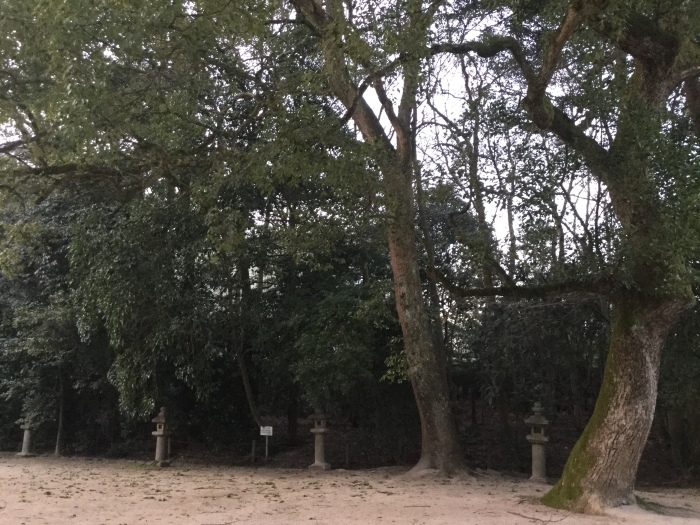 f0268294_16513973.jpeg