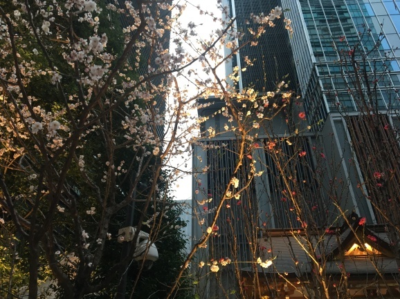 f0042295_09075515.jpeg