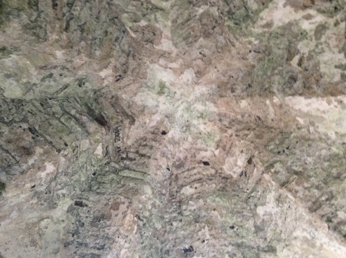 b0110999_21451009.jpeg