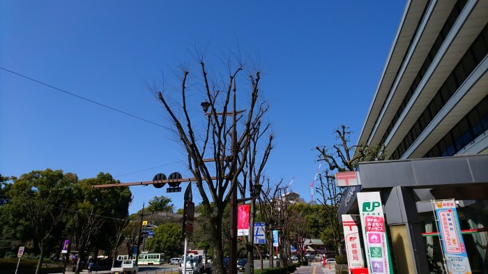 c0368903_13375863.jpg