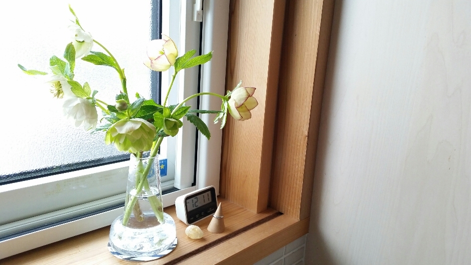 窓辺に花を_d0080906_19085123.jpg