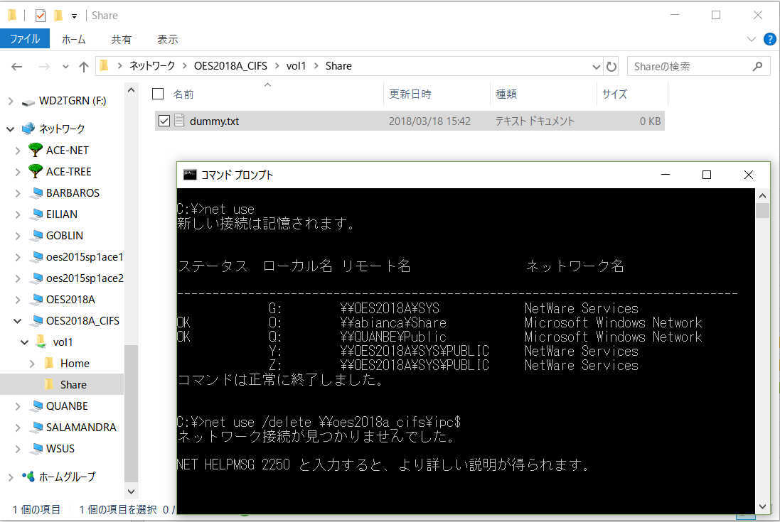 OES 2018 Linux で SMB ファイルサーバーのフォルダ容量制限(ディレクトリクォータ)_a0056607_13133842.jpg