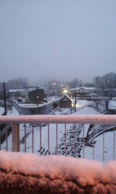 春分の日の雪_f0069907_18122722.jpg