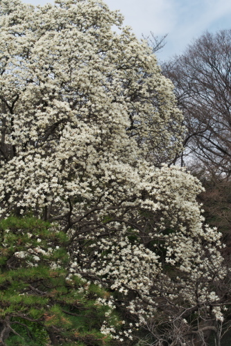 a0263109_14594200.jpg