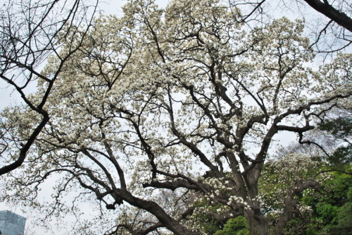a0263109_14594231.jpg