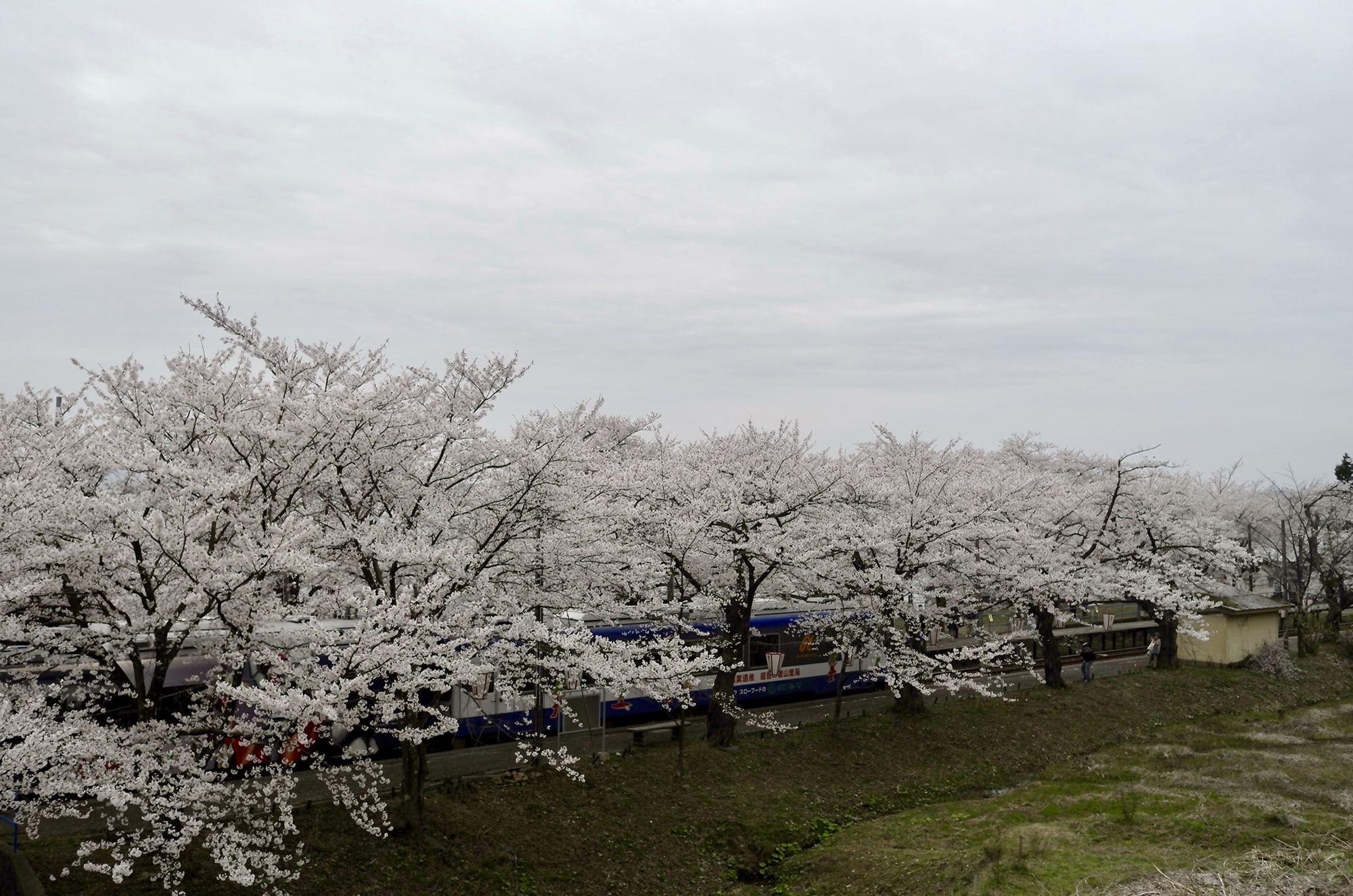 a0223112_17425865.jpg
