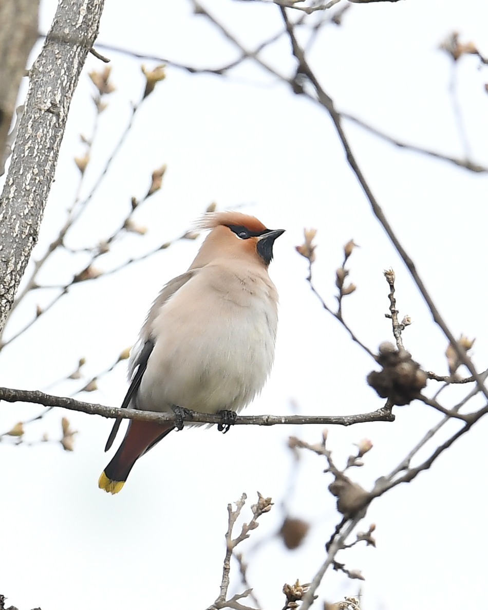 鳥のスポットへ_f0133213_16545959.jpg